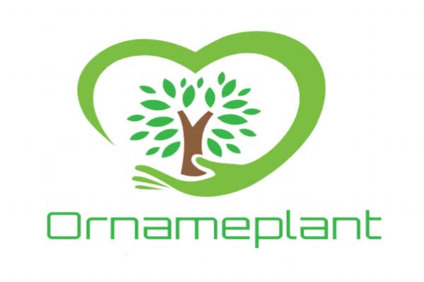 ornameplant